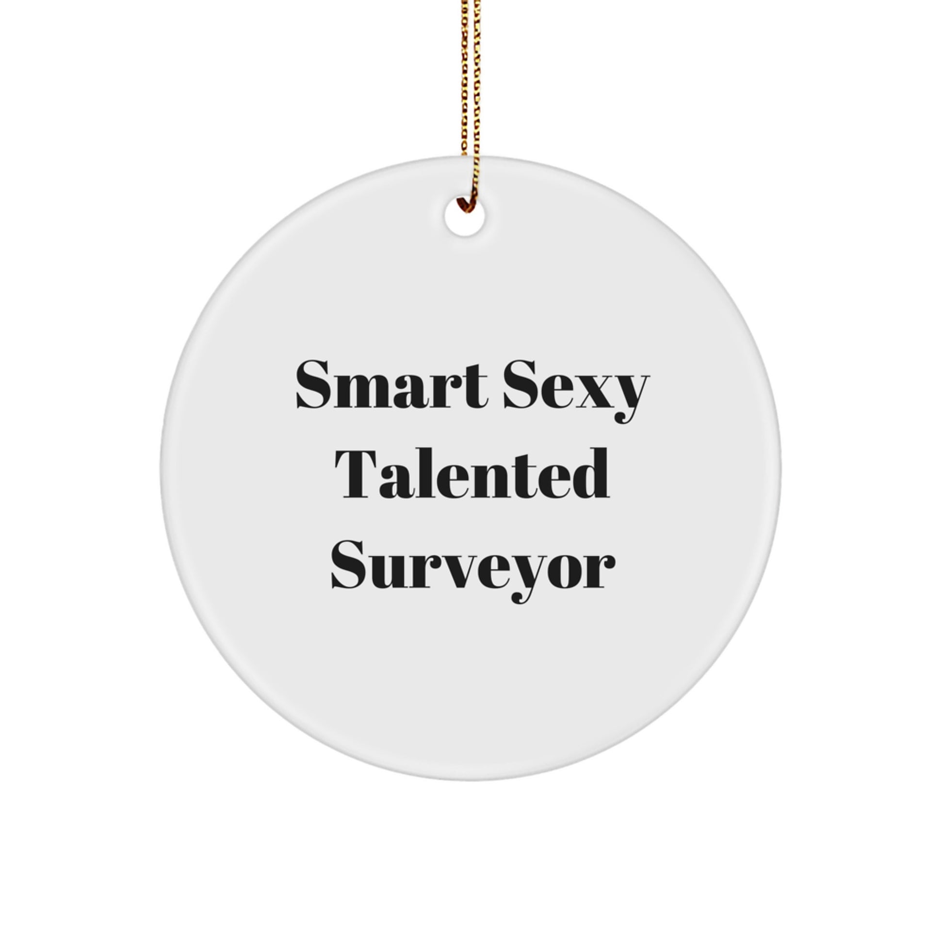 Smart Sexy Talented Surveyor Christmas Unique Gifts for Surveyor Friends - Image 1