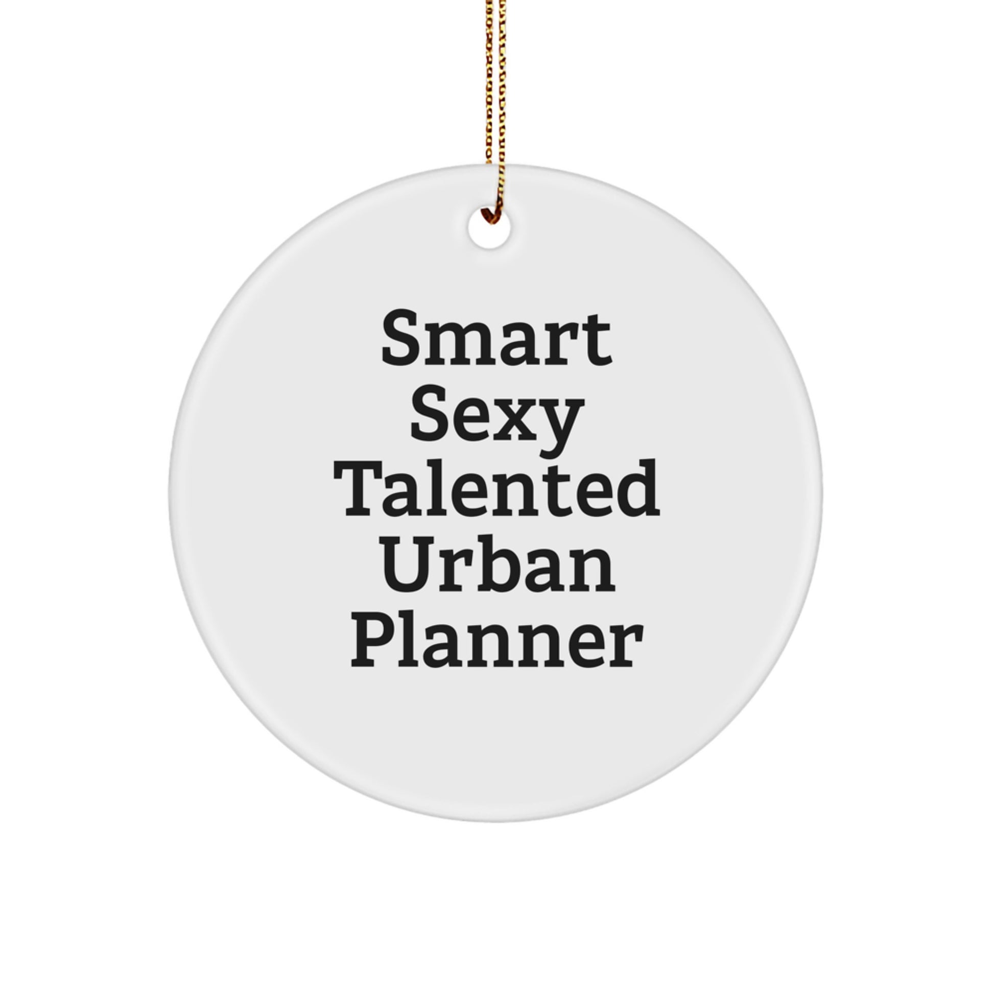 Funny Smart Sexy Urban Planner Gifts from Friends for Christmas Unique Circle Ornament - Image 1