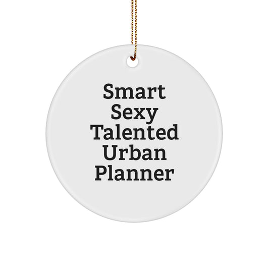 Funny Smart Sexy Urban Planner Gifts from Friends for Christmas Unique Circle Ornament - Image 1