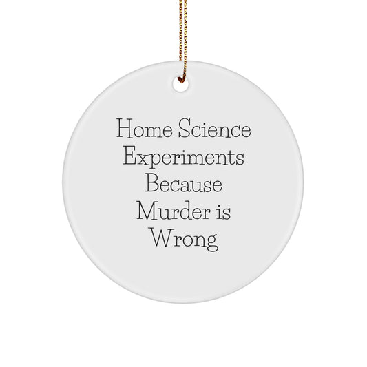 Home Science Experiments Circle Christmas Ornament Keepsake for Him Gift - Image 1