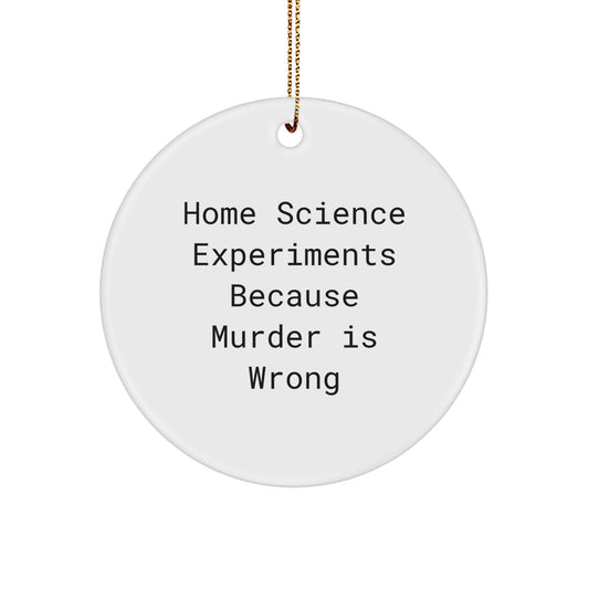 For Family Home Science Experiments Christmas Ornament Treasure Gift - Image 1