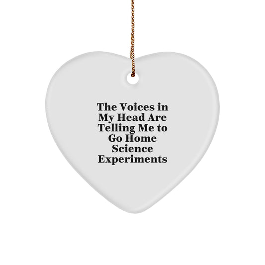 Home Science Experiments Heart Ornament for Coworkers Idea Xmas Gift - Image 1