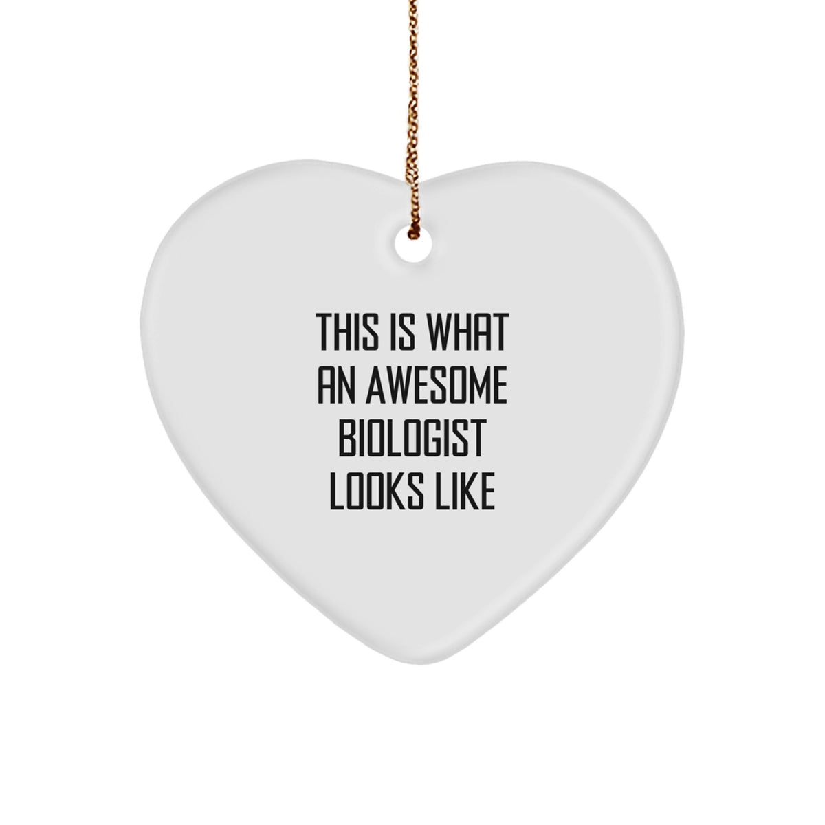 Biologist Treasure Heart Ornament Christmas Gift for Family - Image 1