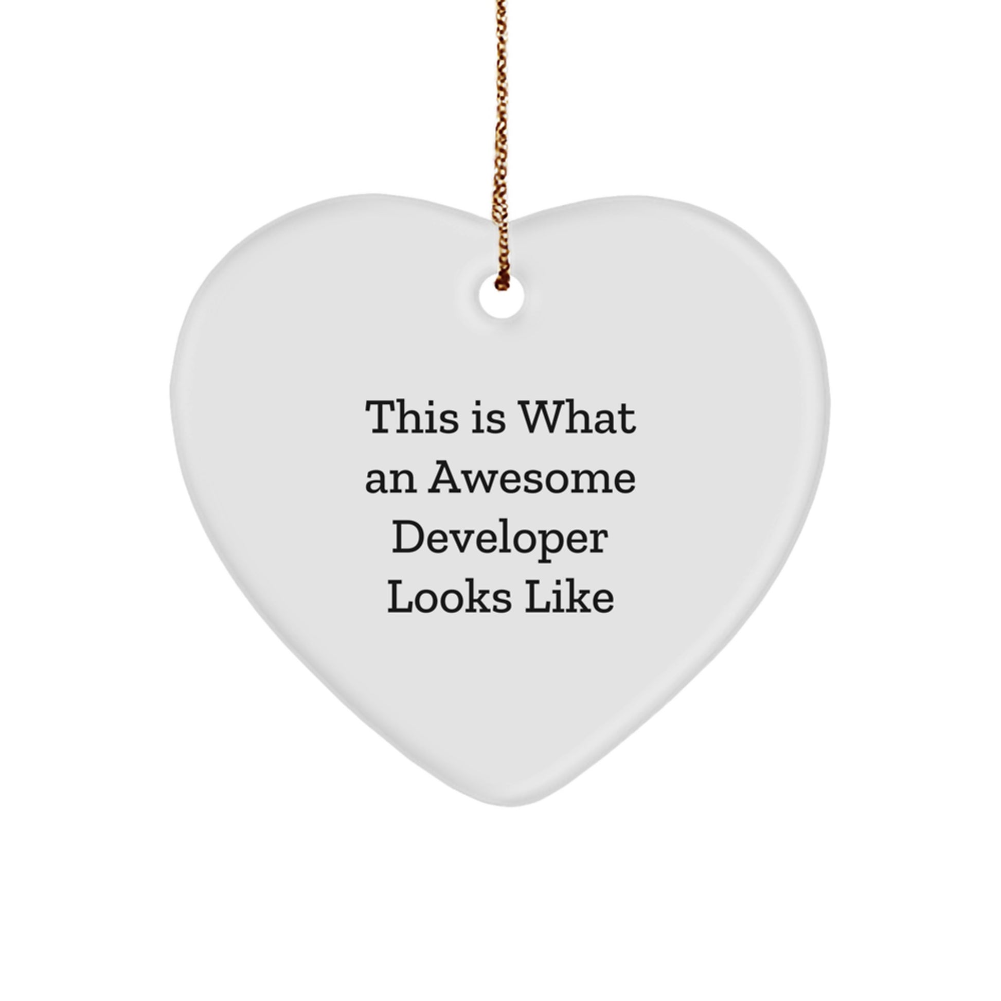 Funny Developer Heart Ornament Gifts from Friends, Christmas Unique Gifts for Developer, Developer Heart Shaped Ornament - Image 1