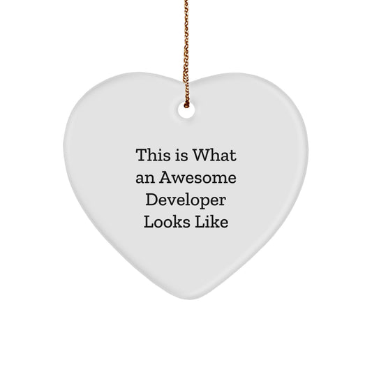 Funny Developer Heart Ornament Gifts from Friends, Christmas Unique Gifts for Developer, Developer Heart Shaped Ornament - Image 1