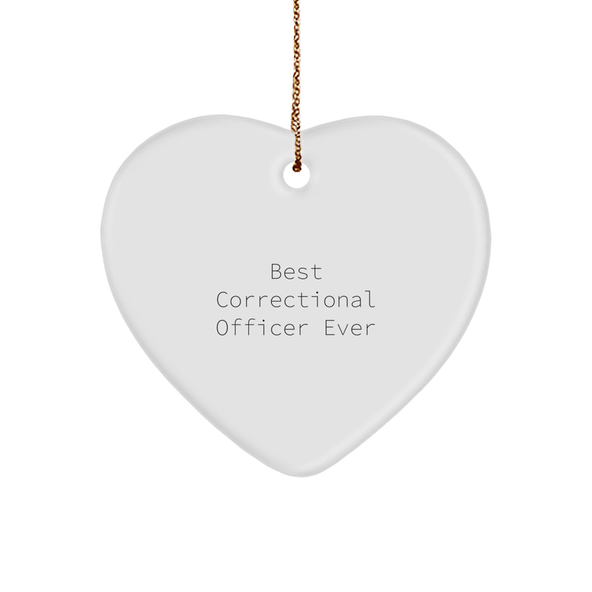 Heartwarming Christmas Gift Best Correctional Officer Ever Novelty - Image 1