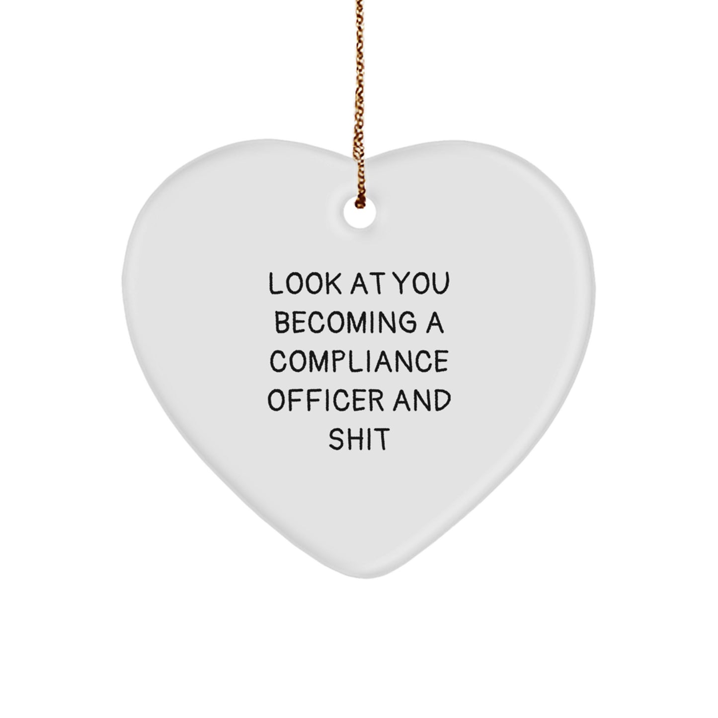 Funny Compliance Officer Heart Ornament Gifts from Friends for Christmas Unique - Image 1