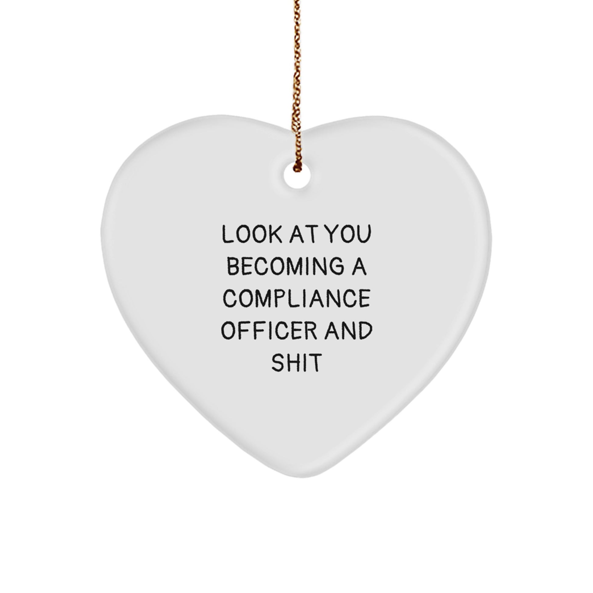 Funny Compliance Officer Heart Ornament Gifts from Friends for Christmas Unique - Image 1