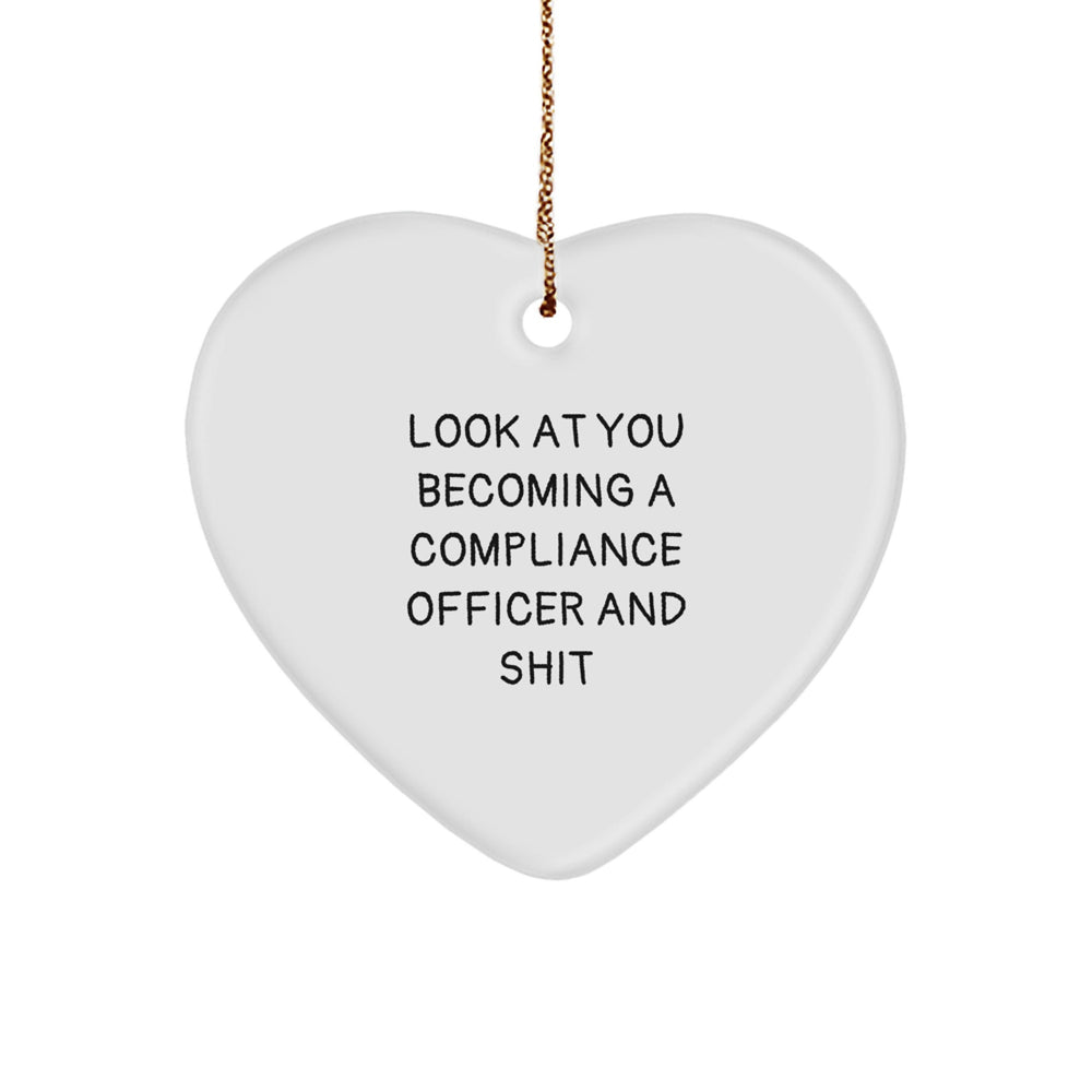 Funny Compliance Officer Heart Ornament Gifts from Friends for Christmas Unique - Image 1