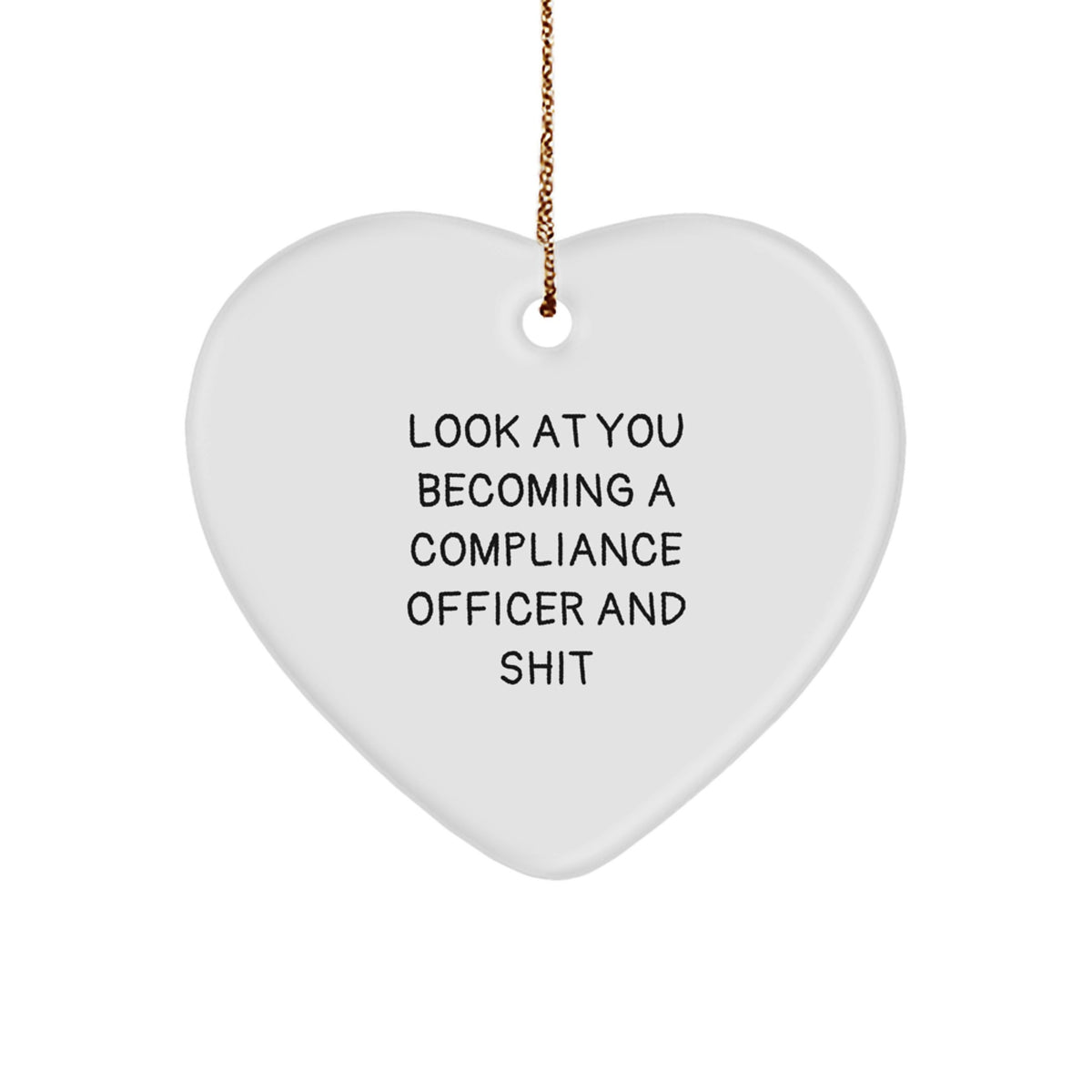 Funny Compliance Officer Heart Ornament Gifts from Friends for Christmas Unique - Image 1