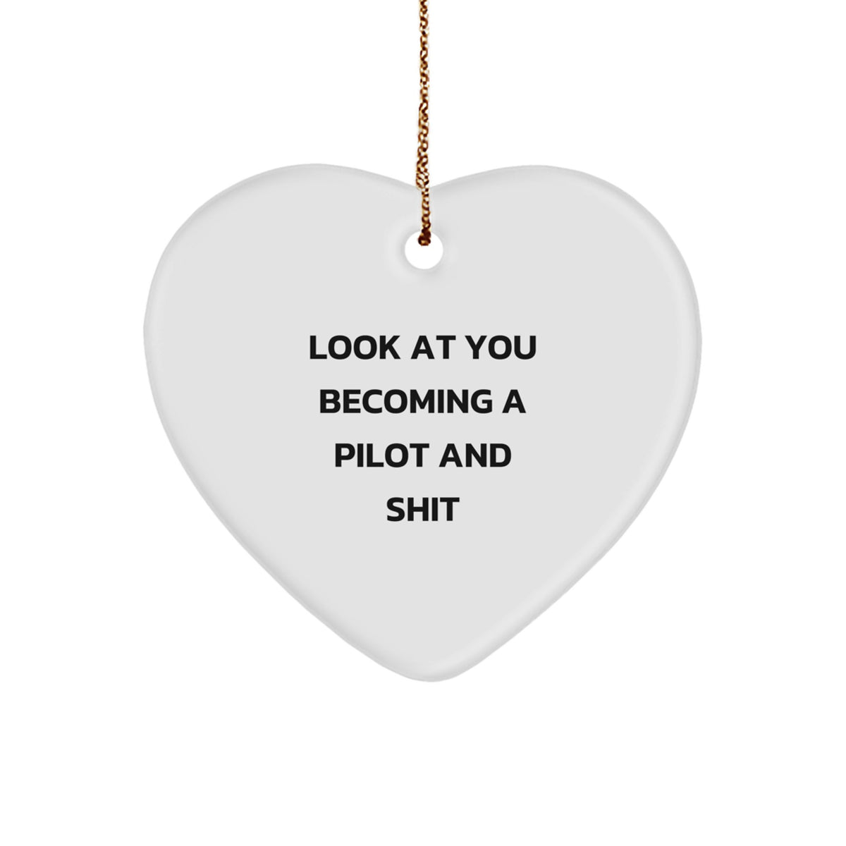 Pilot Gifts for Him or Her - 'Look At You Becoming A Pilot And Shit' Heart Ornament, Christmas Unique Gifts from Friends - Image 1