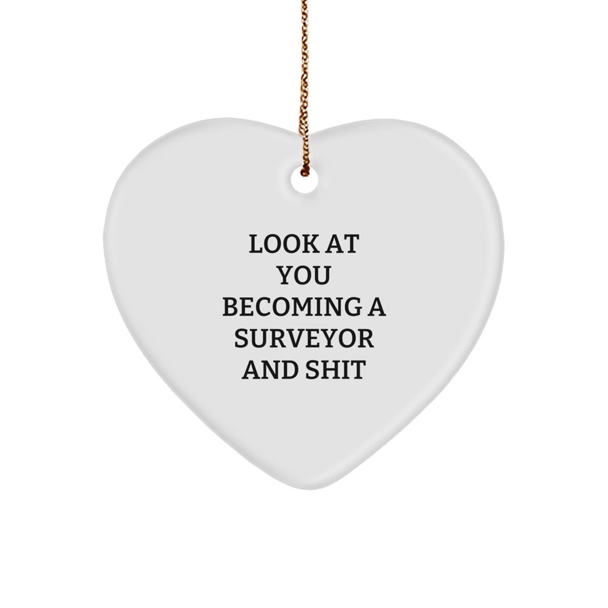 Funny Surveyor Gifts for Men from Friends, 'Look At You Becoming A Surveyor And Shit' Heart Ornament for Christmas - Image 1