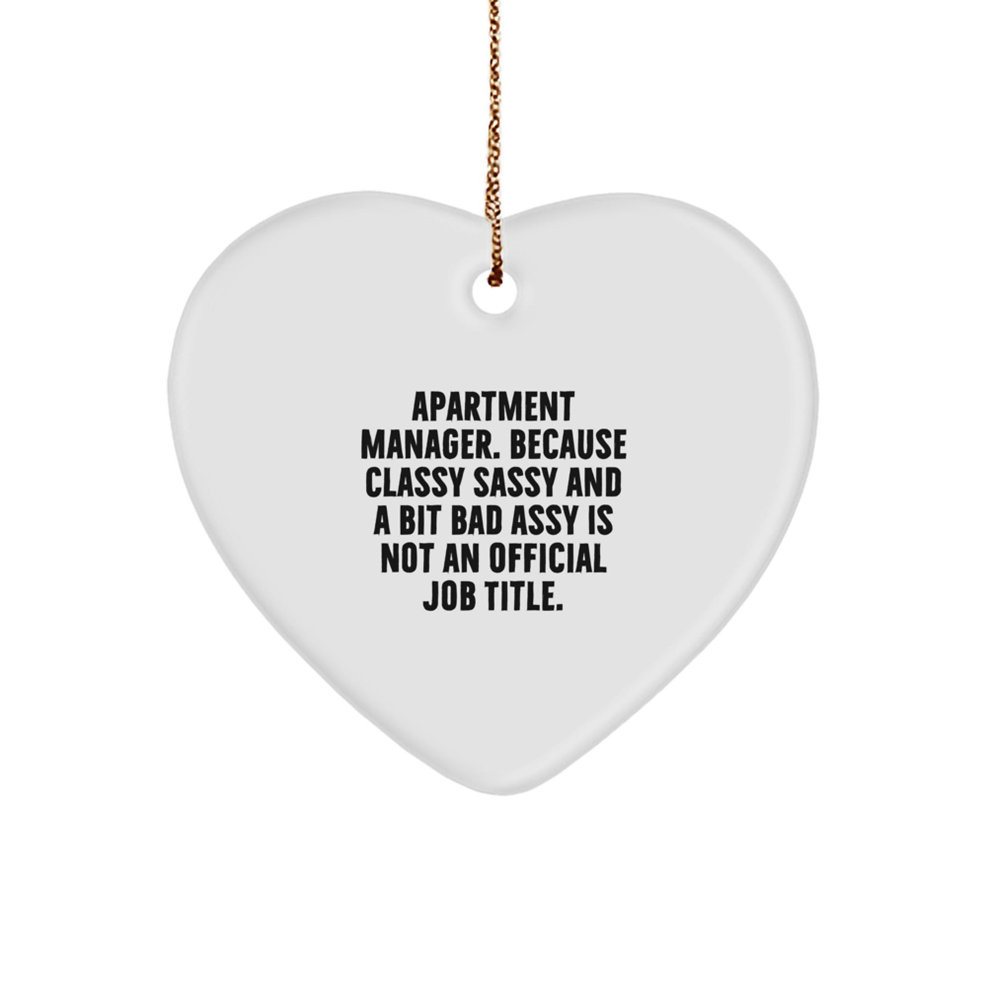 Funny Apartment Manager Gifts for Women, Christmas Unique Gifts from Friends, Heart Ornament for Her - Image 1