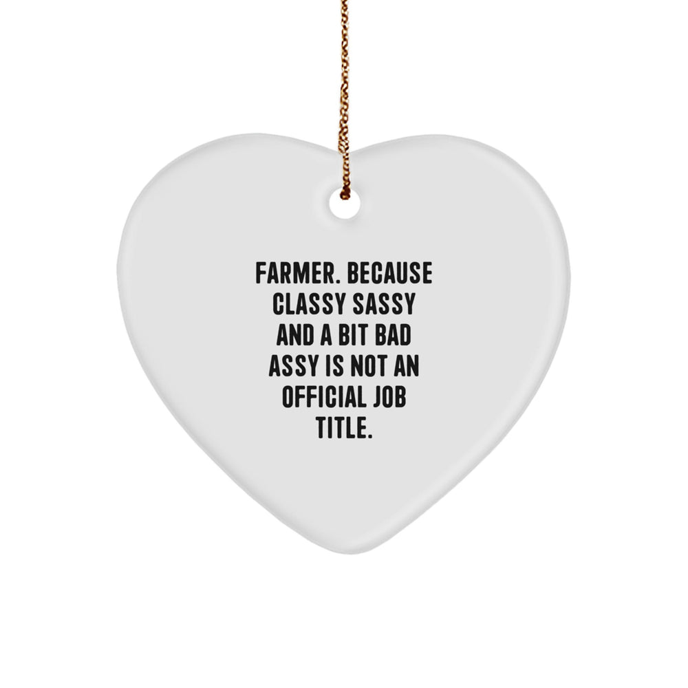 Funny Farmer Gifts: 'Farmer. Because Classy Sassy And A Bit Fearlessy Is Not An Official Job Title.' Heart Ornament for Men, Women, Friends, Coworkers, or Family - Image 1
