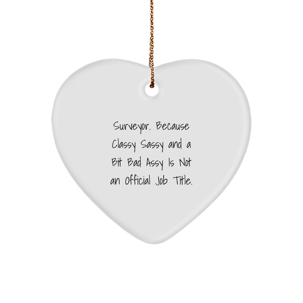 Funny Surveyor Gifts from Friends, Heart Ornament for Men, Women, or Coworkers, Christmas Unique Presents - Image 1
