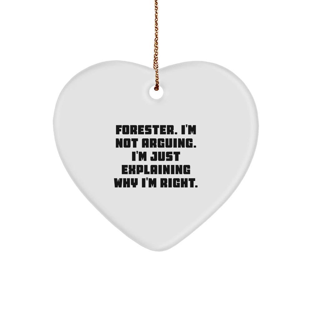 Forester Gifts, Funny Heart Ornament, I'm Not Arguing, Christmas Unique Gifts from Friends to Forester - Image 1