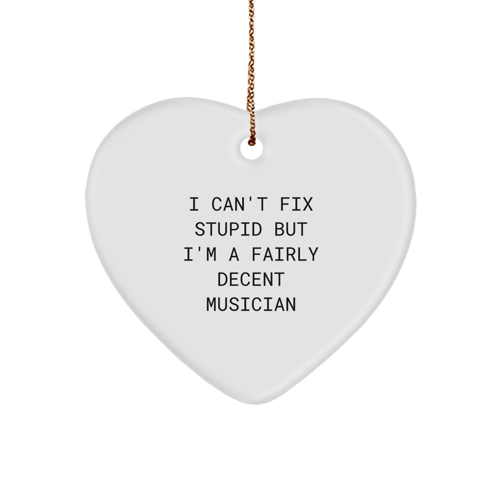 Funny Musician Gifts for Women from Friends, Heart Ornament with I Can't Fix Stupid But I'm A Fairly Decent Musician Quote, Christmas Unique Gifts - Image 1