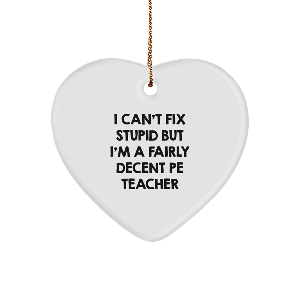 Funny PE Teacher Gift, I Can't Fix Stupid But I'm A Fairly Decent Heart Ornament for Christmas, Gifts from Friends to PE Teacher - Image 1