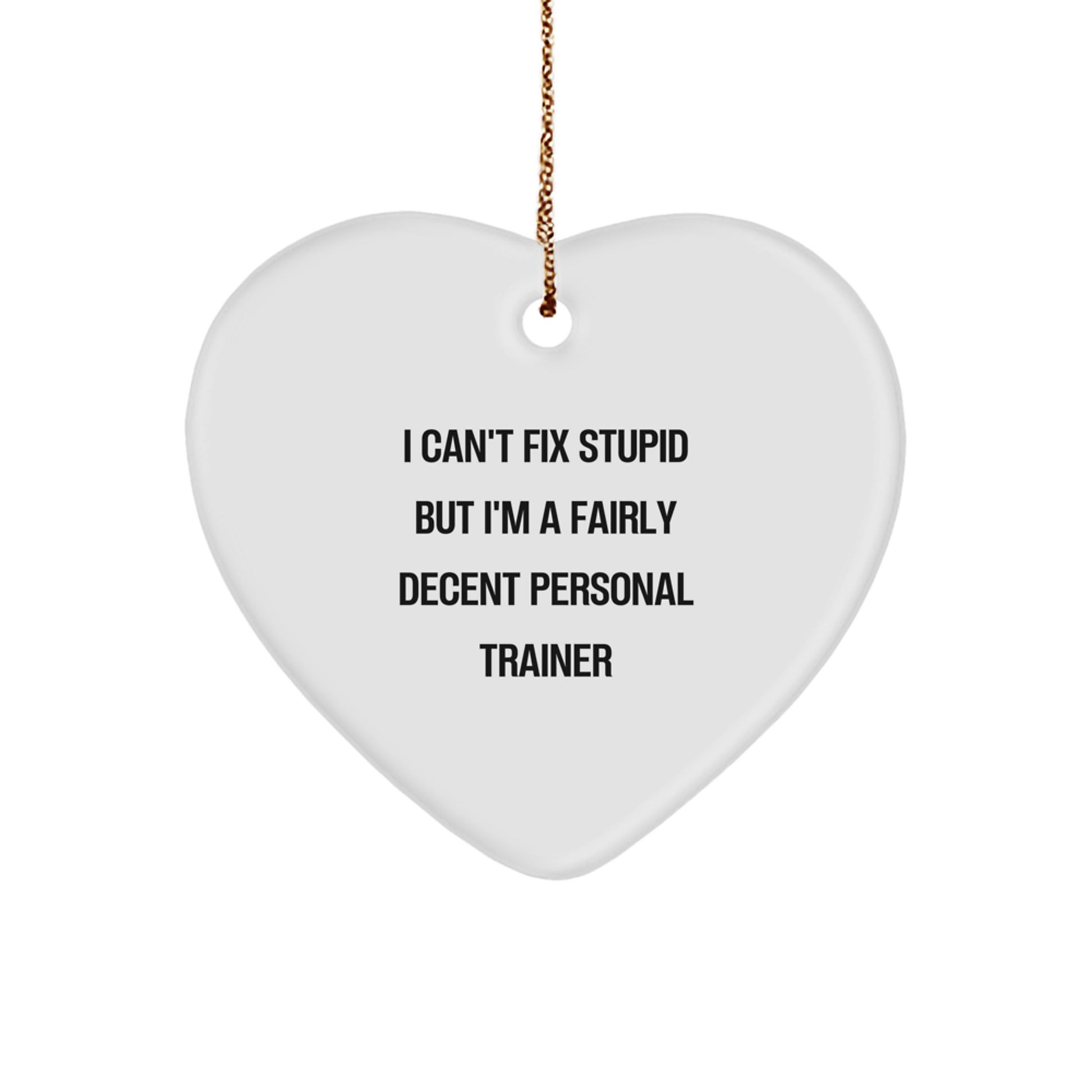 Funny Personal Trainer Gifts from Friends, Family, or Coworkers - 'I Can't Fix Stupid But I'm A Fairly Decent Personal Trainer' Heart Ornament for Christmas - Image 1