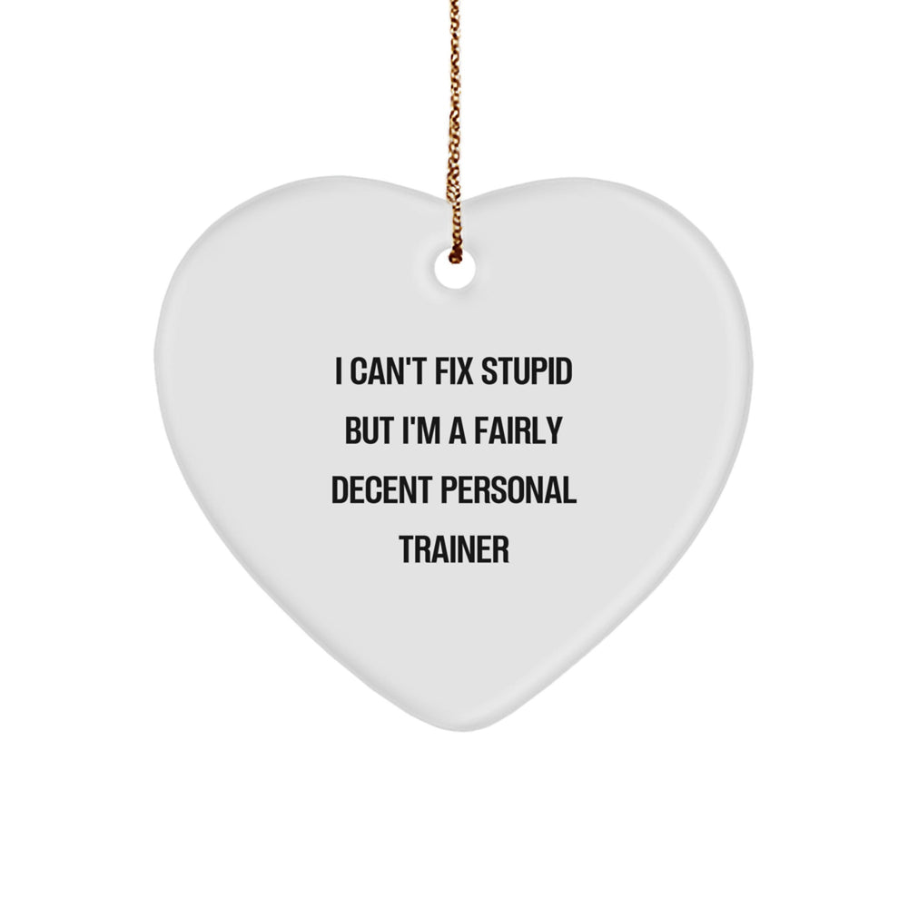 Funny Personal Trainer Gifts from Friends, Family, or Coworkers - 'I Can't Fix Stupid But I'm A Fairly Decent Personal Trainer' Heart Ornament for Christmas - Image 1