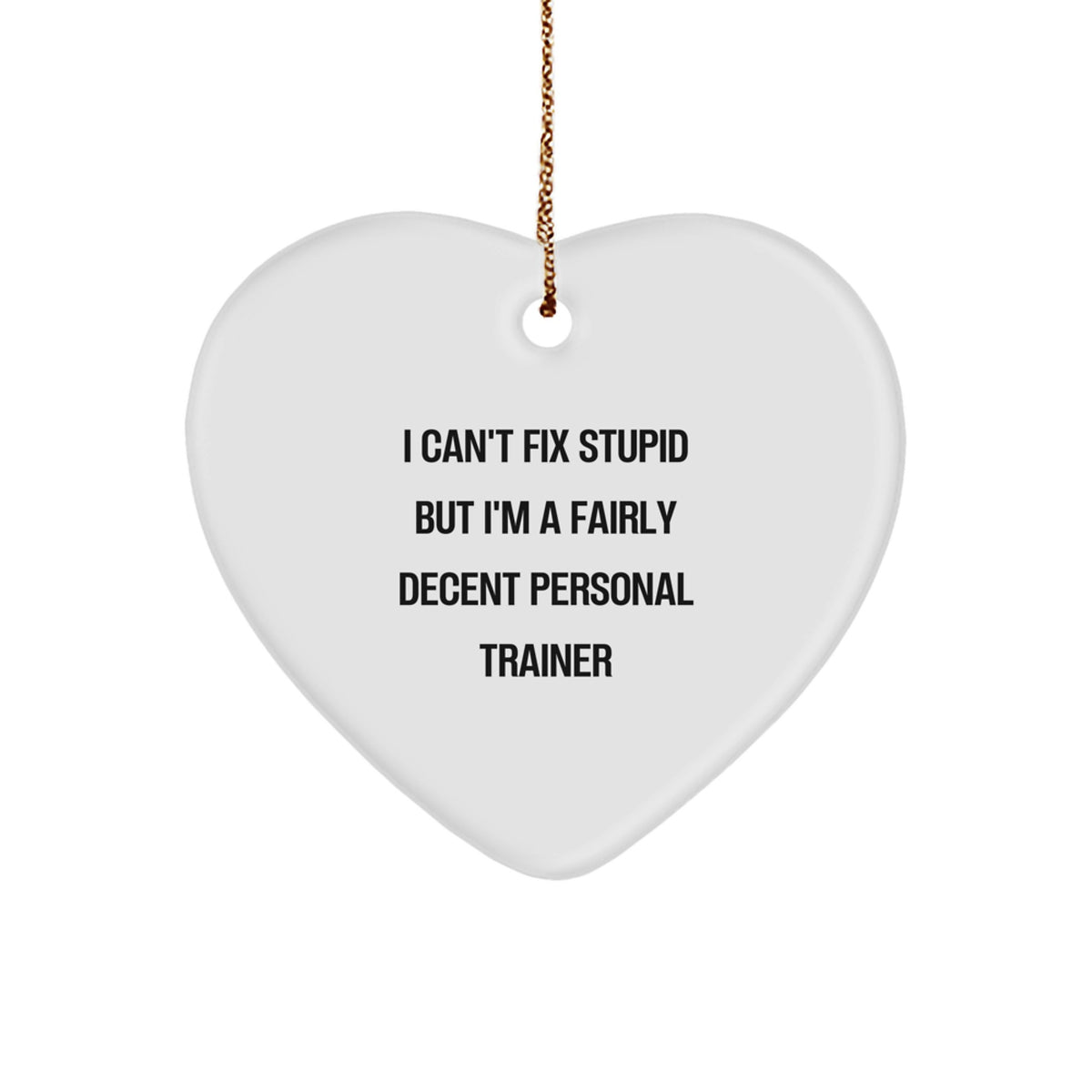 Funny Personal Trainer Gifts from Friends, Family, or Coworkers - 'I Can't Fix Stupid But I'm A Fairly Decent Personal Trainer' Heart Ornament for Christmas - Image 1