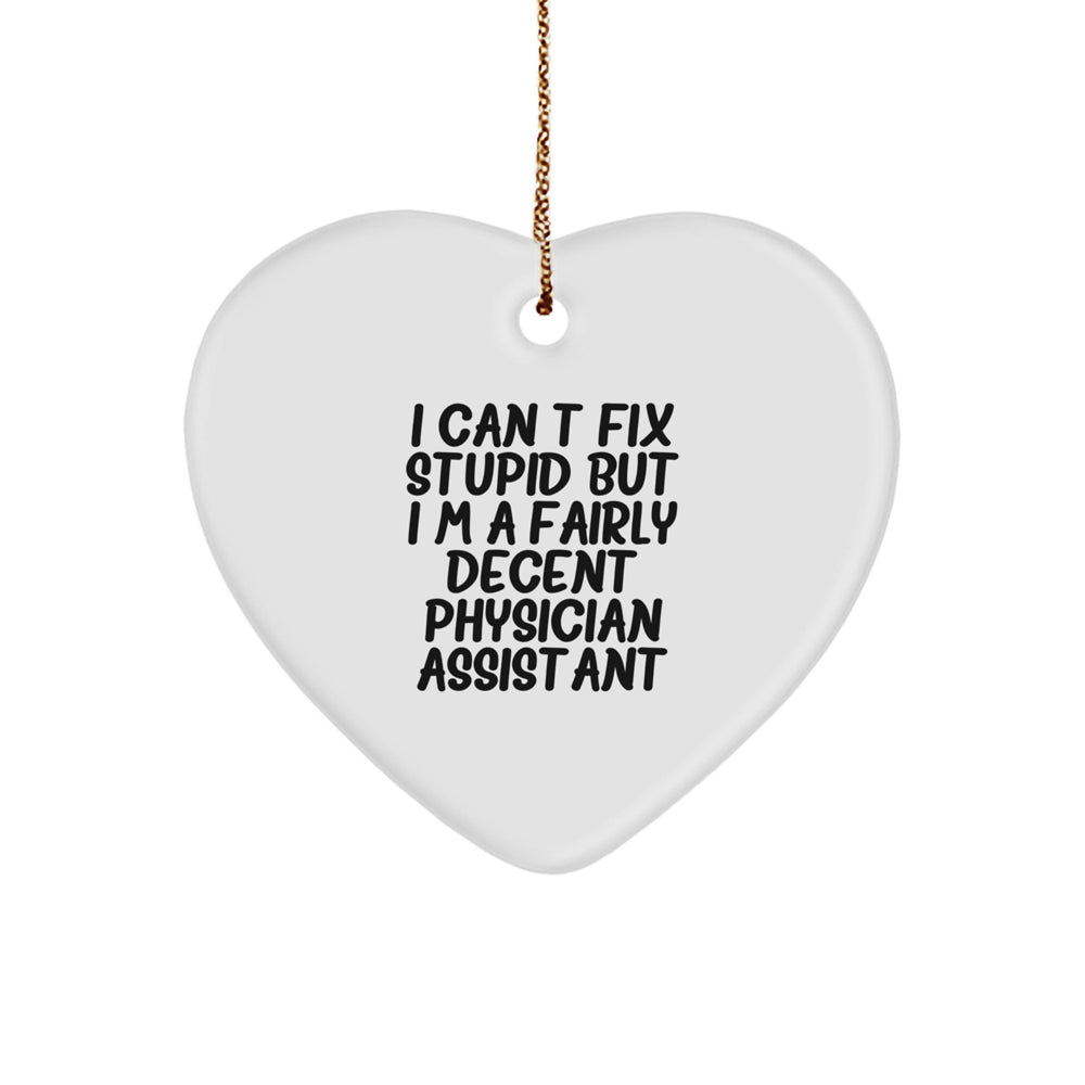 Funny Physician Assistant Gifts from Friends - I Can't Fix Stupid But I'm A Fairly Decent Physician Assistant Heart Ornament for Christmas - Image 1