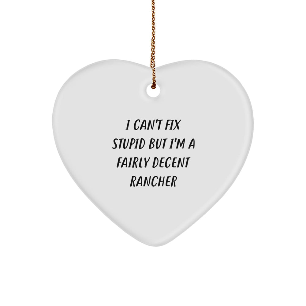 Funny Rancher Heart Ornament Gifts from Men for Women, Friends, Coworkers, Family - I'm a Decent Rancher Heart Shaped White Decor - Image 1