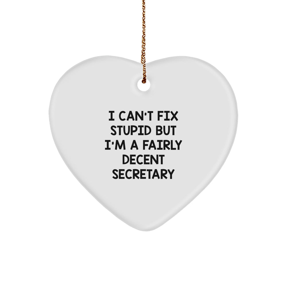 Funny Secretary Heart Ornament Gifts for Her Men from Friends Family I Can't Fix Stupid - Image 1