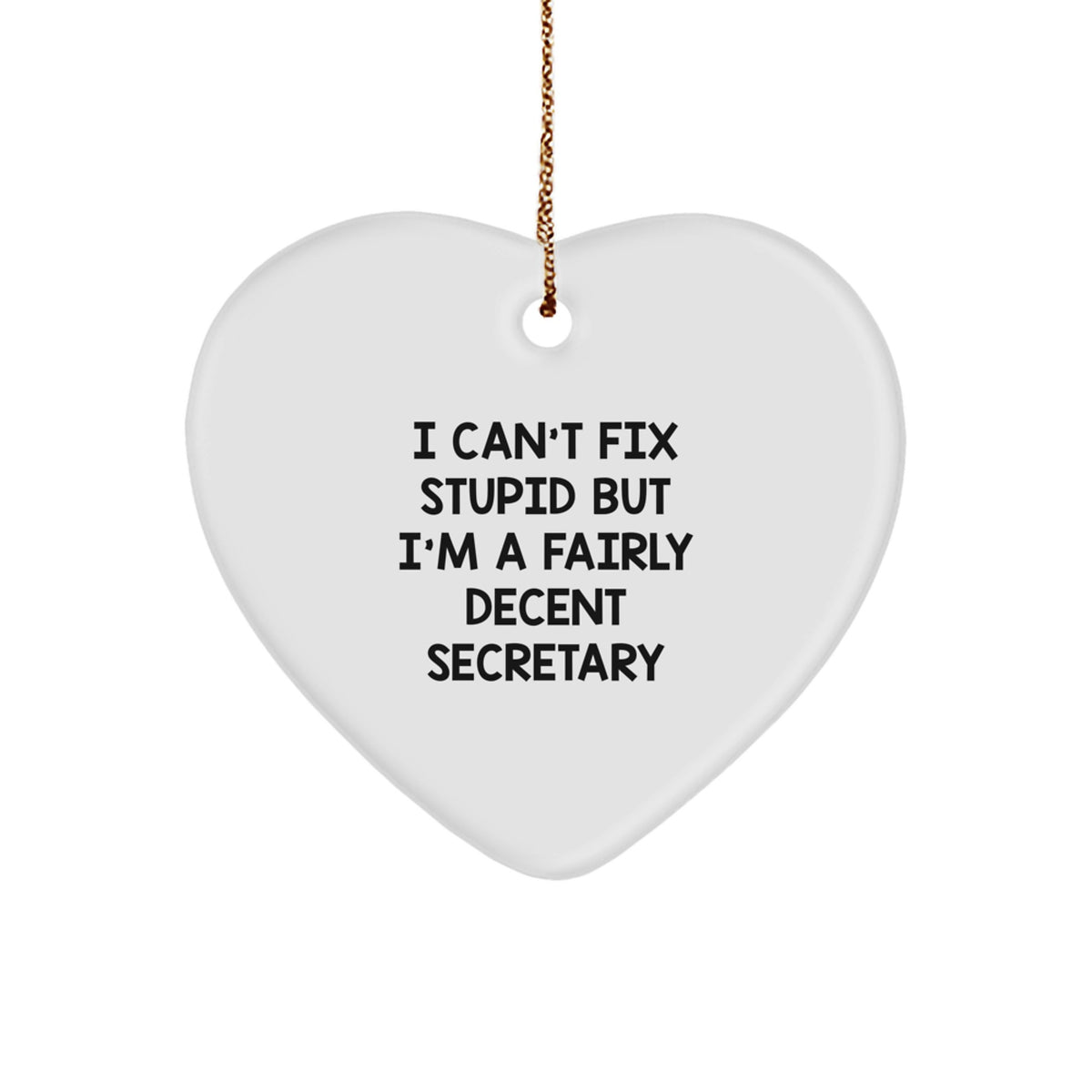 Funny Secretary Heart Ornament Gifts for Her Men from Friends Family I Can't Fix Stupid - Image 1