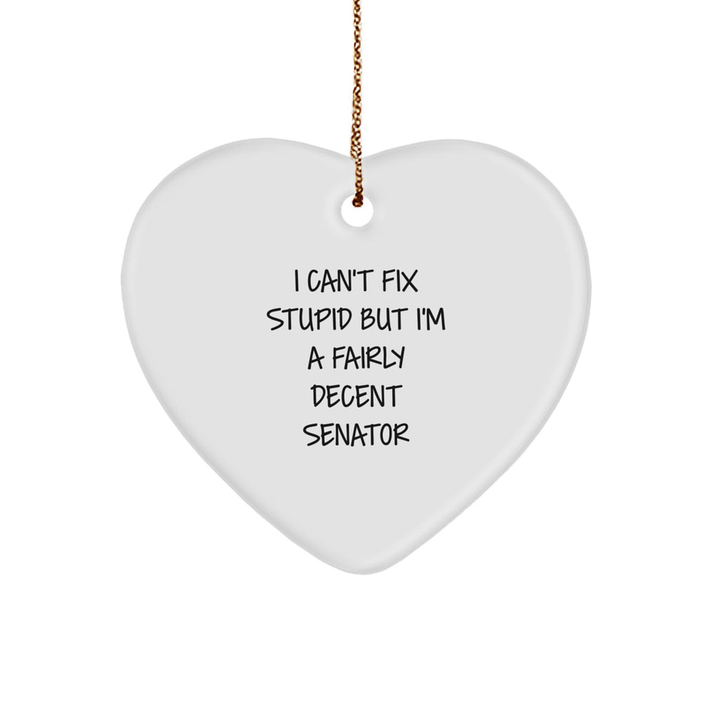 Funny Senator Heart Ornament Gifts from Men for Senator, 'I Can't Fix Stupid' Humor Christmas Unique Gifts - Image 1