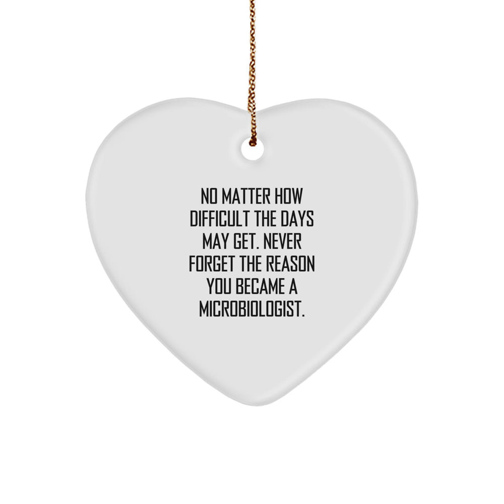 Inspirational Microbiologist Gifts from Friends - Funny Heart Ornament for Christmas - Image 1