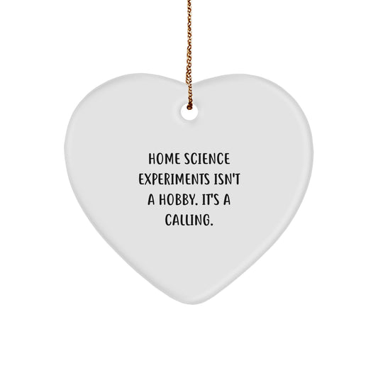Home Science Experiments Isn't A Hobby Gifts from Family - Funny Heart Ornament for Home Science Experiments Enthusiasts Christmas Unique Gifts - Image 1