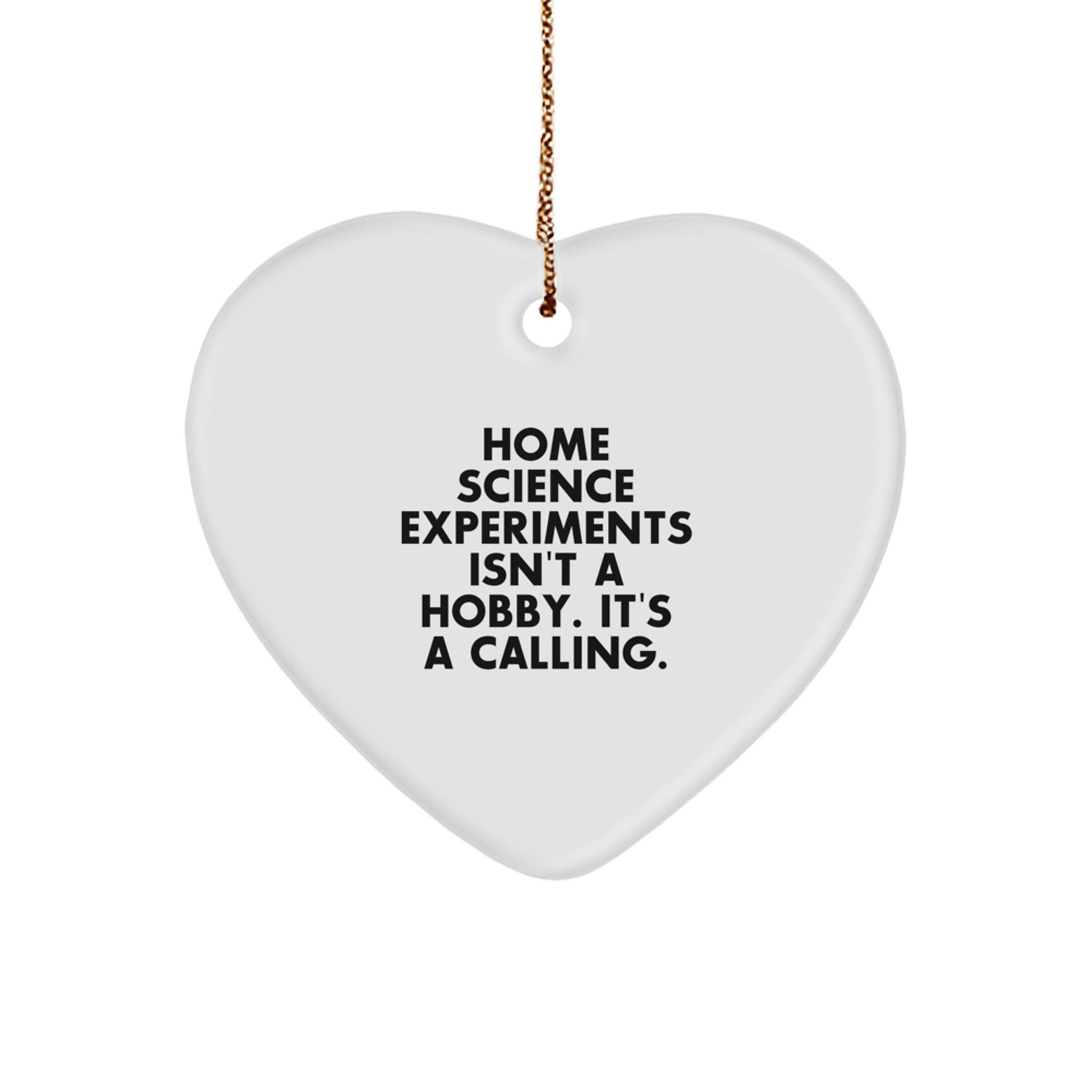 Home Science Experiments Gifts for Men - Funny Inspirational Heart Ornament Gifts from Dad to Son for Christmas Unique Presents - Image 1