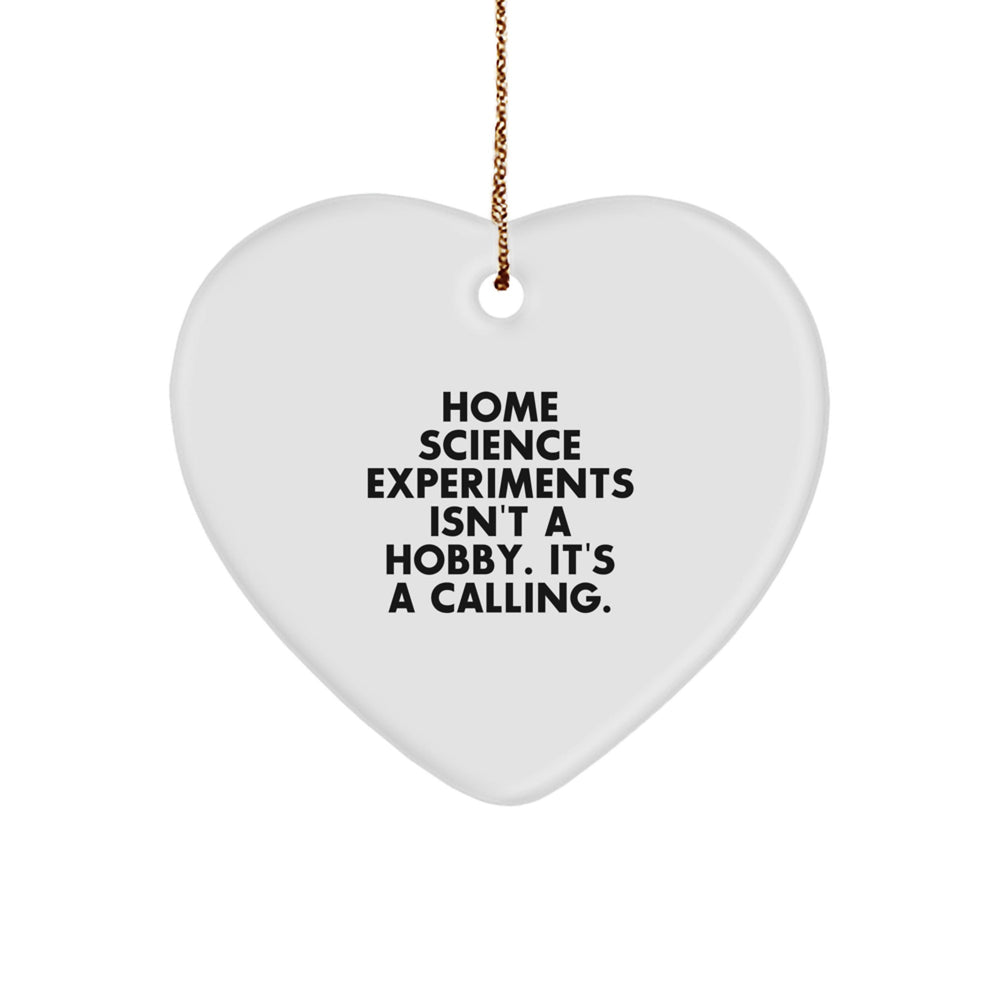 Home Science Experiments Gifts for Men - Funny Inspirational Heart Ornament Gifts from Dad to Son for Christmas Unique Presents - Image 1