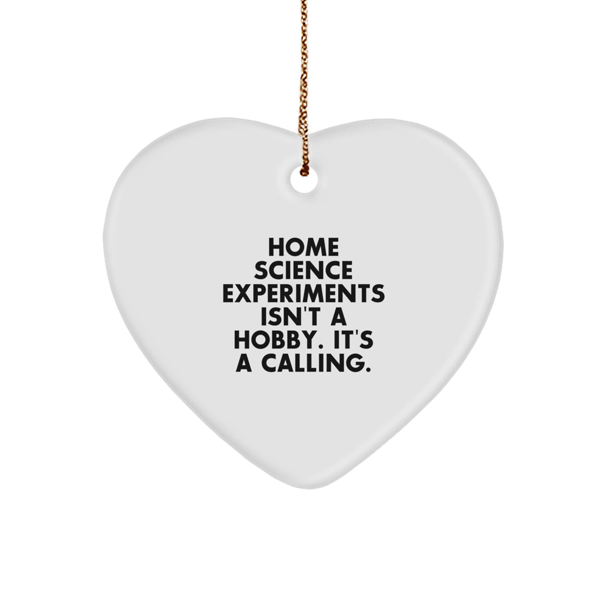 Home Science Experiments Gifts for Men - Funny Inspirational Heart Ornament Gifts from Dad to Son for Christmas Unique Presents - Image 1