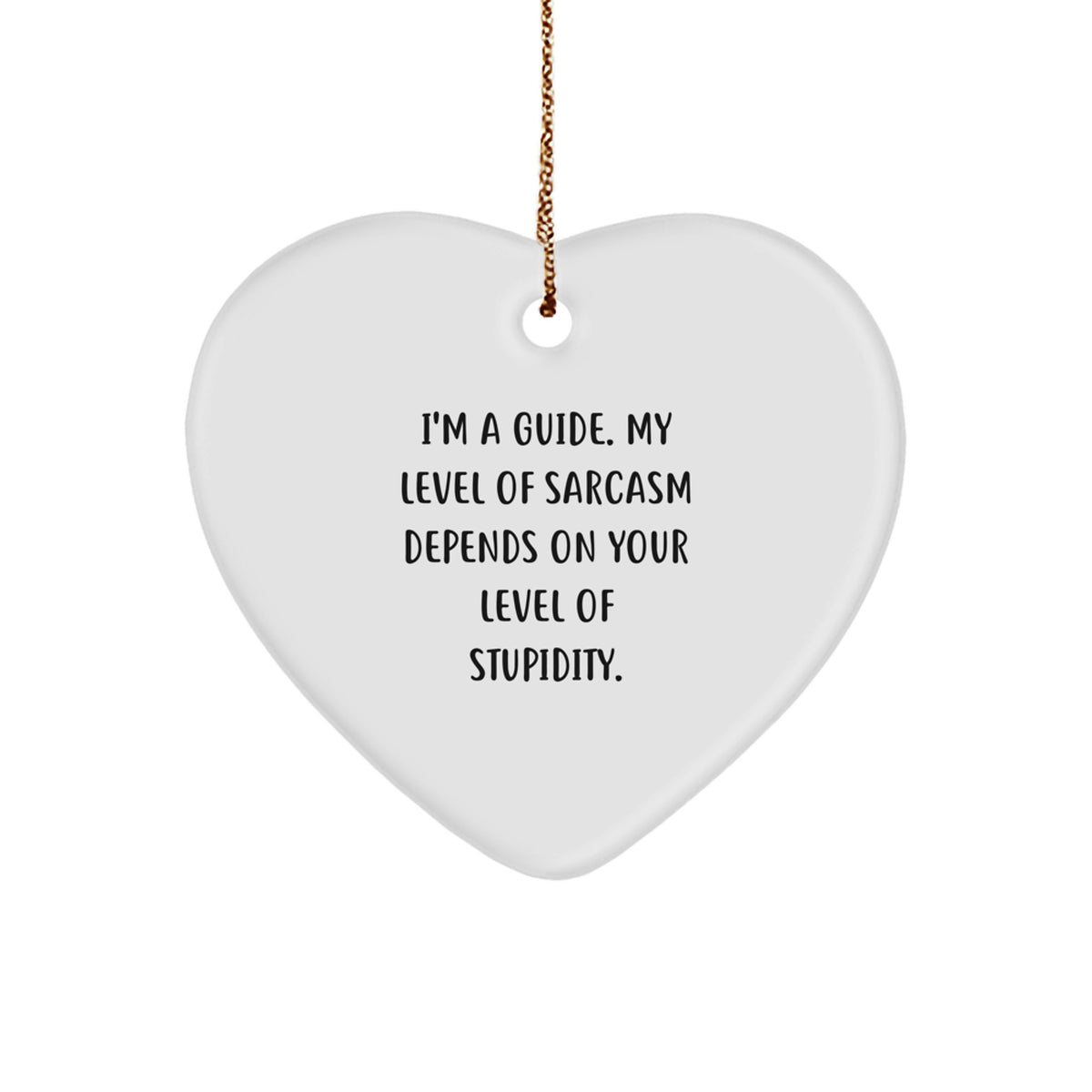 Funny Guide Gifts from Women, Heart Ornament for Guide Men, Sarcasm Christmas Unique Gifts - Image 1