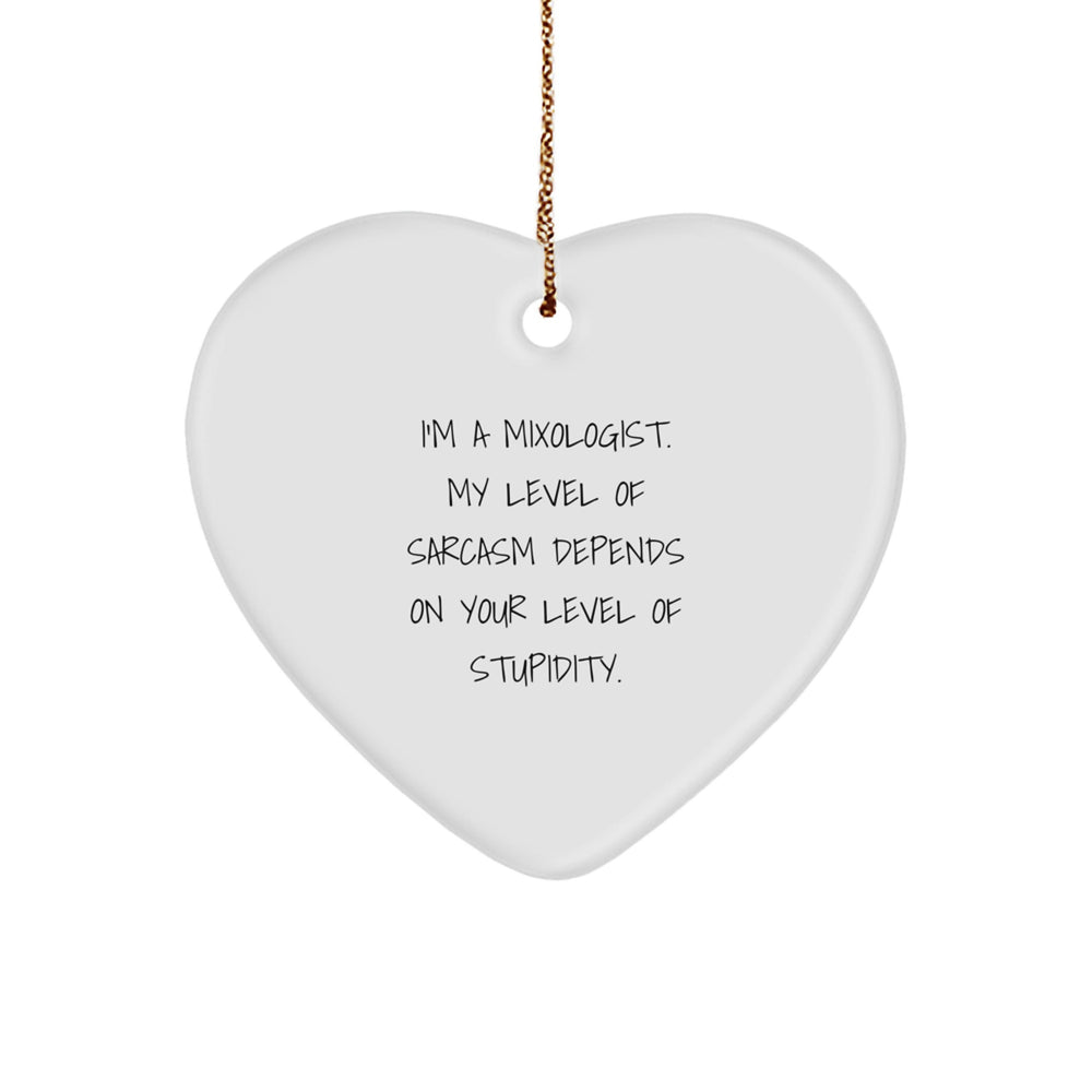 Funny Mixologist Gifts from Men to Sisters - Christmas Unique Gifts for Women with Mixologist Heart Ornament, I'm A Mixologist. - Image 1
