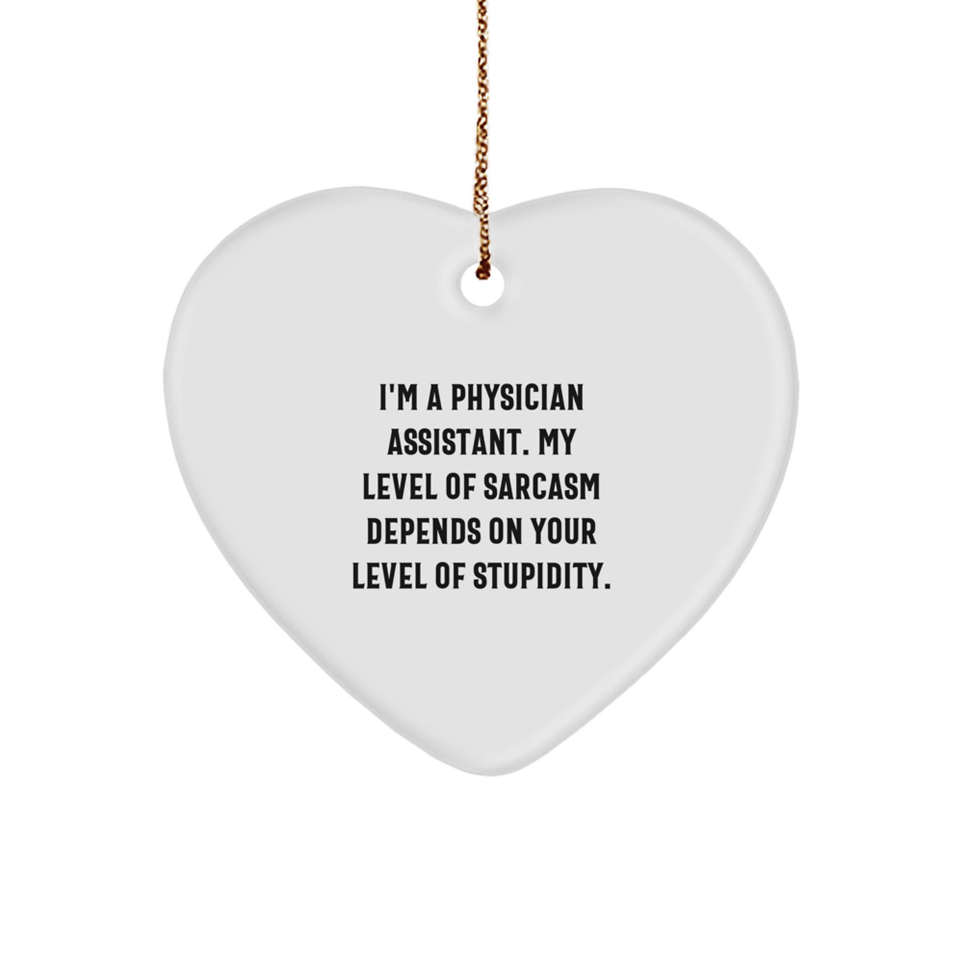 Funny Physician Assistant Gifts for Men from Friends - I'm A PA, Sarcasm Level Depends On Your Stupidity - Heart Ornament, Christmas Unique - Image 1