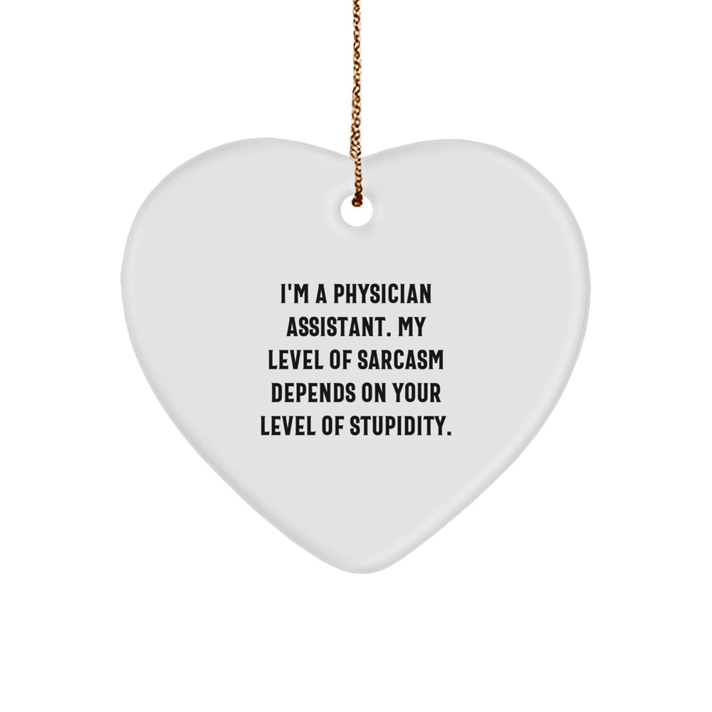 Funny Physician Assistant Gifts for Men from Friends - I'm A PA, Sarcasm Level Depends On Your Stupidity - Heart Ornament, Christmas Unique - Image 1