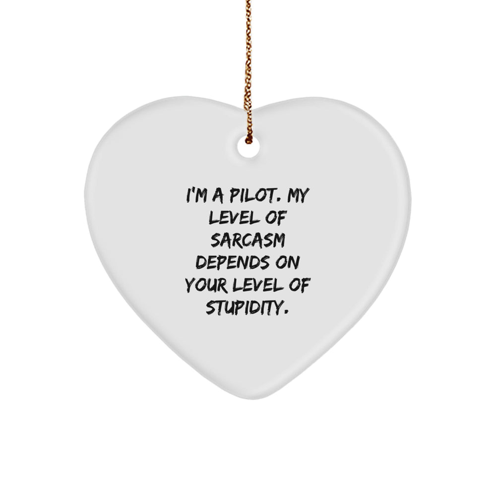 Funny Pilot Gifts, I'm A Pilot, My Level Of Sarcasm Depends On Your Level Of Stupidity, Pilot Heart Ornament, Christmas Unique Gifts from Friends to Pilot - Image 1