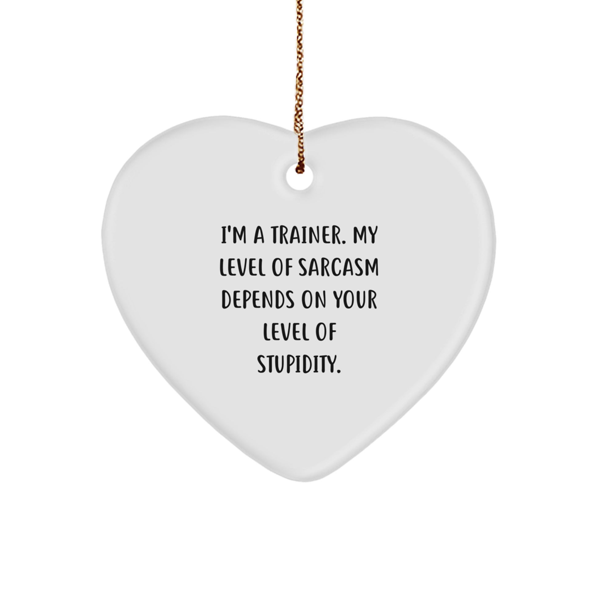 Funny Trainer Gifts from Friends, Unique Christmas Unique Gifts for Trainers, Heart Ornament with Sarcasm Quote - Image 1