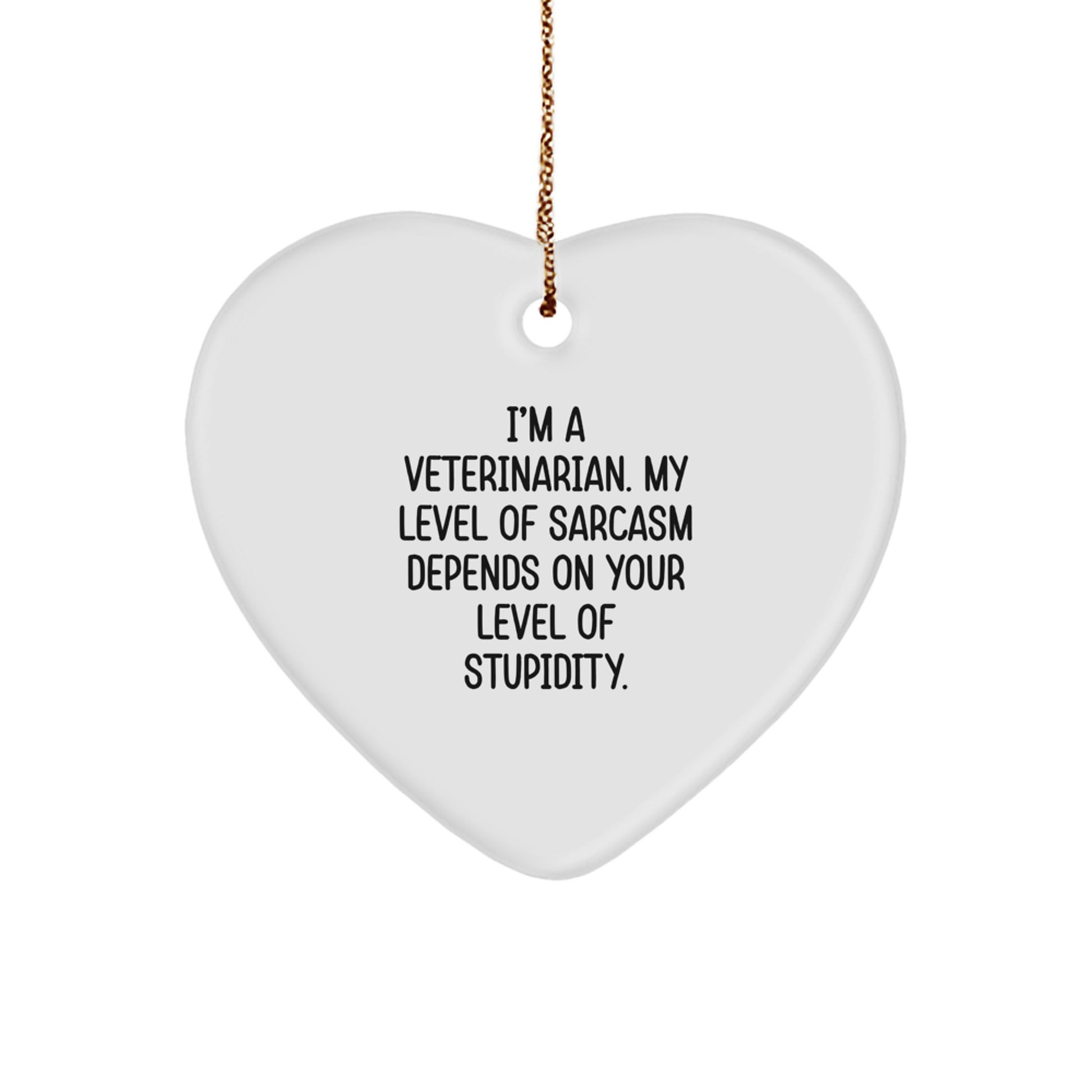 Funny Veterinarian Christmas Unique Gifts from Men to Friends, Heart Ornament with Sarcasm Quote for Veterinarians - Image 1