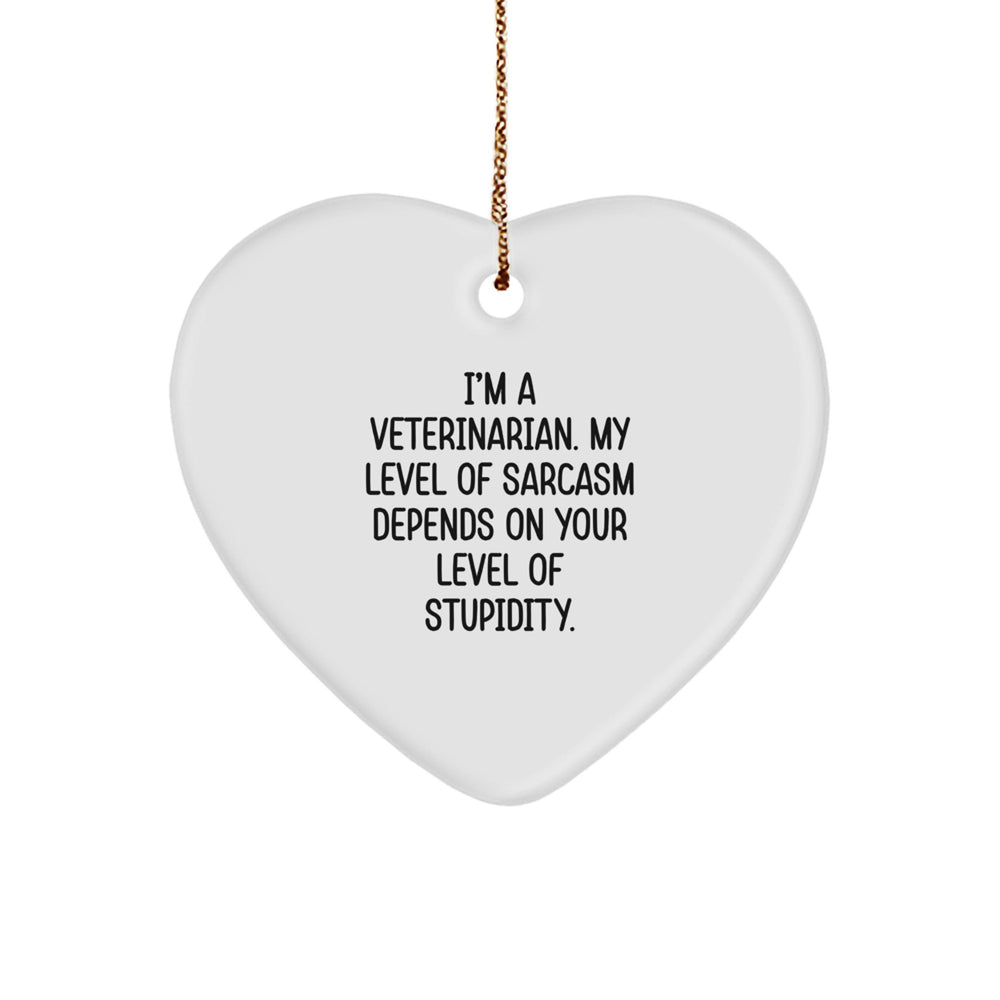 Funny Veterinarian Christmas Unique Gifts from Men to Friends, Heart Ornament with Sarcasm Quote for Veterinarians - Image 1