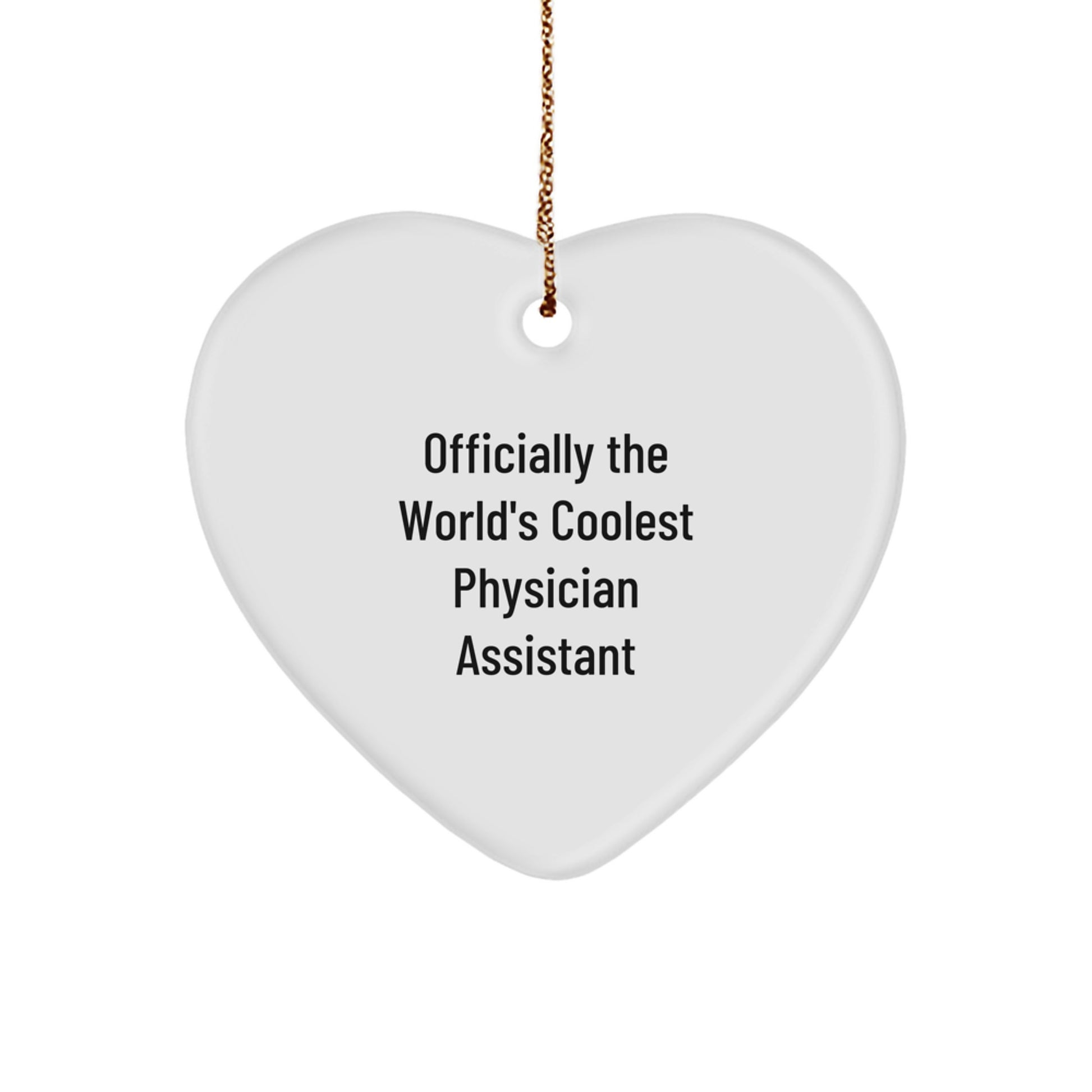 Funny Gifts from Men to Family - Heart Ornament for Physician Assistant, Officially The World's Coolest PA Christmas Unique Gifts - Image 1