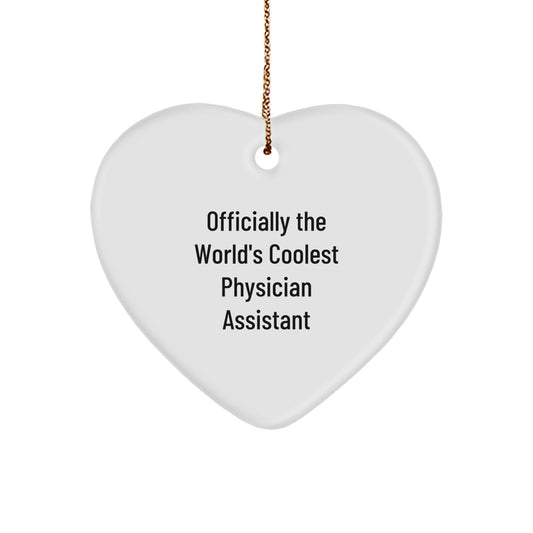 Funny Gifts from Men to Family - Heart Ornament for Physician Assistant, Officially The World's Coolest PA Christmas Unique Gifts - Image 1