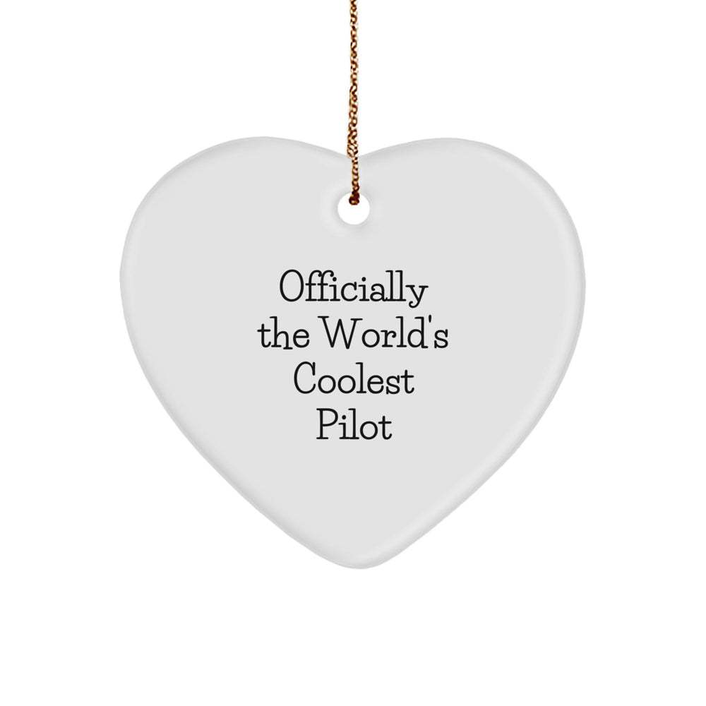 Funny Pilot Gifts from Men - Heart Ornament Officially The 'World's Coolest Pilot' - Christmas Unique Gifts for Pilot - Image 1