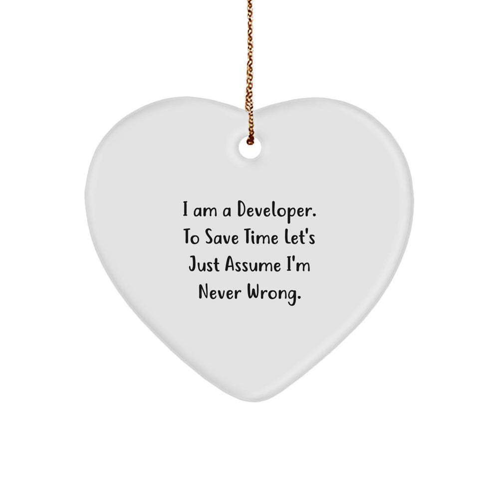 Funny Developer Heart Ornament Gifts from Friends, Unique Christmas Decorations for Men Women Coworkers - 'I'm Never Wrong' - Image 1
