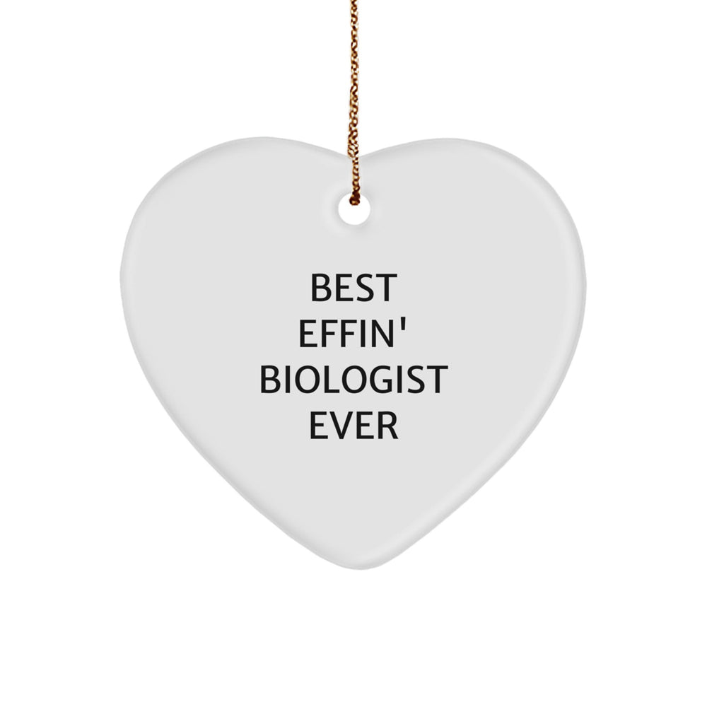 Funny Biologist Quotes Gifts for Him - Best Effin' Biologist Ever Heart Ornament, Unique Christmas Unique Gifts from Friends to Family - Image 1