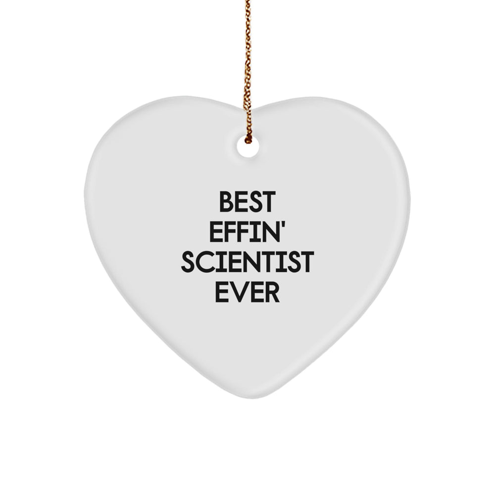 Funny Scientist Gifts from Men - Best Effin' Scientist Ever Heart Ornament, Perfect for Christmas Unique Gifts - Image 1