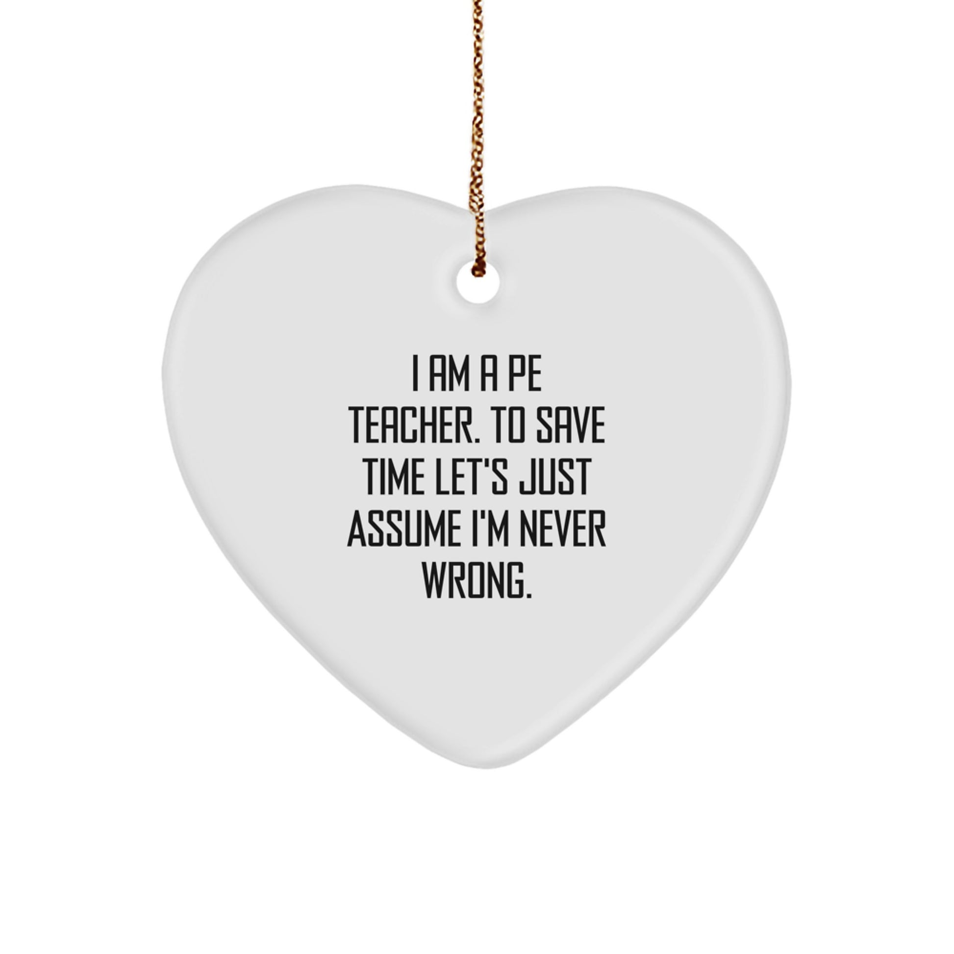 Funny PE Teacher Christmas Heart Ornament Gifts from Friends, for PE Teacher, Unique Christmas Decorations, Inspirational Quote Gifts for Men, Women Coworkers, Perfect Christmas Unique Gift Ideas - Image 1